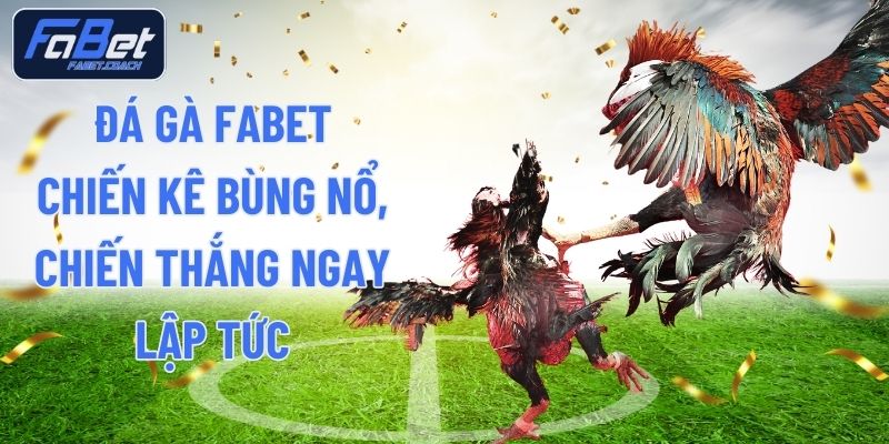 Đá Gà FABET